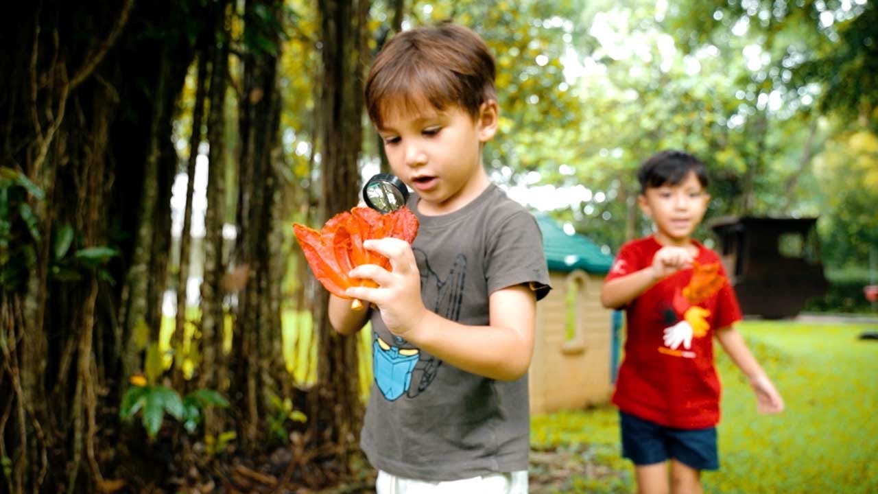 Discover Early Learning Excellence at Deutsche Schule Jakarta!