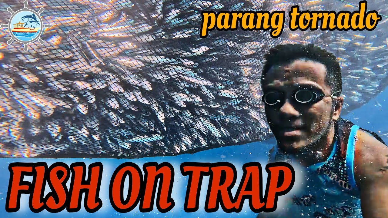 SAPOL NA NAMAN ANG ISDA SA PANGALAWANG ARAW NG PAG ARYA NG PAYAW SA UMAGA