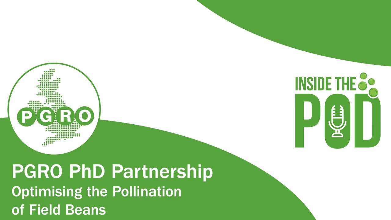 The Beans and the Bees: An Inside the Pod from the Processors and Growers Research Organisation