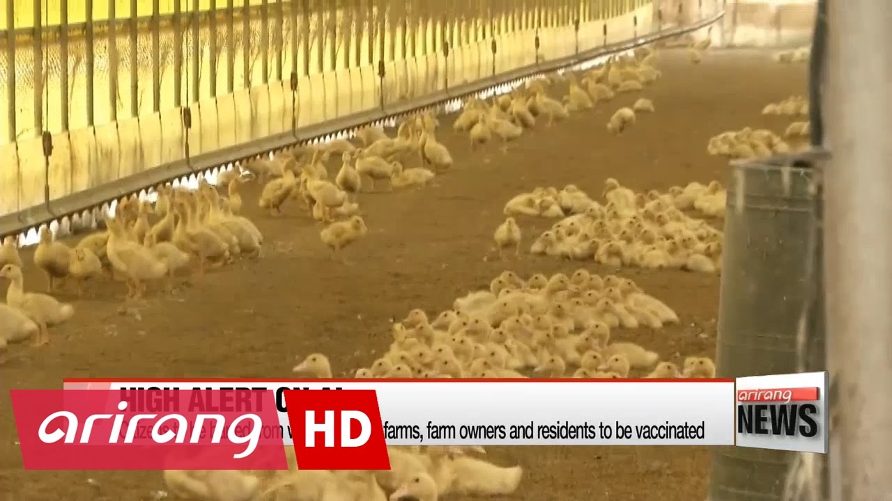 Korea's CDC asks regional gov'ts to prevent human infections of H5N6