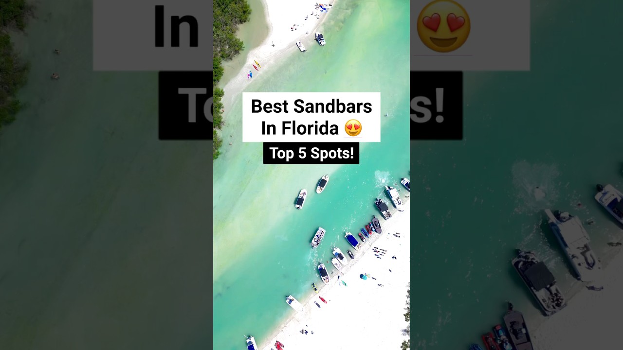 Best sandbars in Florida 😍 #sandbar #boating #floridatravel #floridavacation #floridabeach
