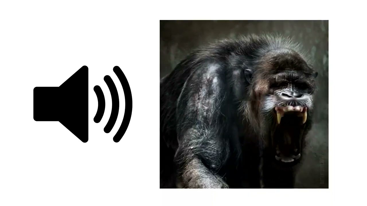 Monster Growl - Sound Effect | ProSounds