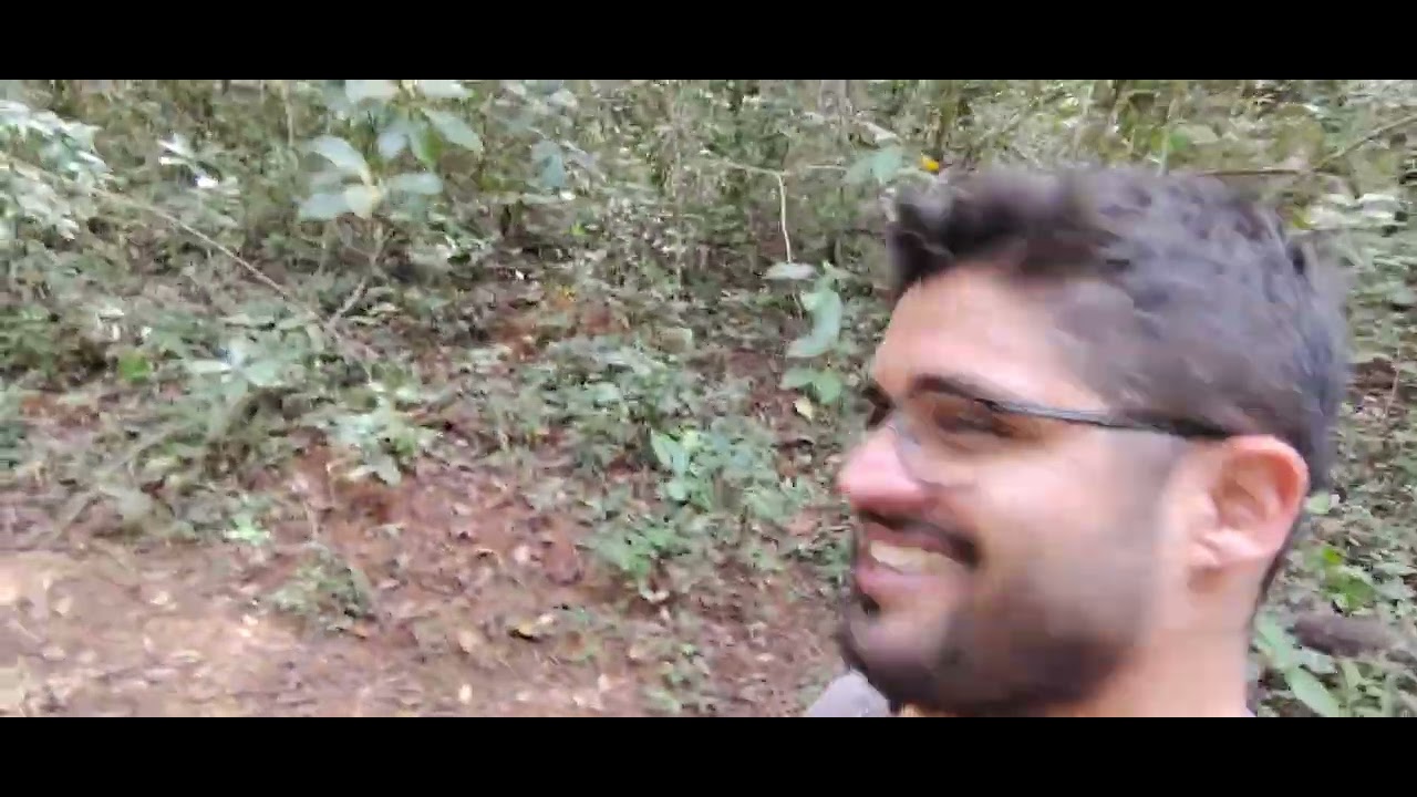 Abelha borá dia de revisão nas iscas 😜
