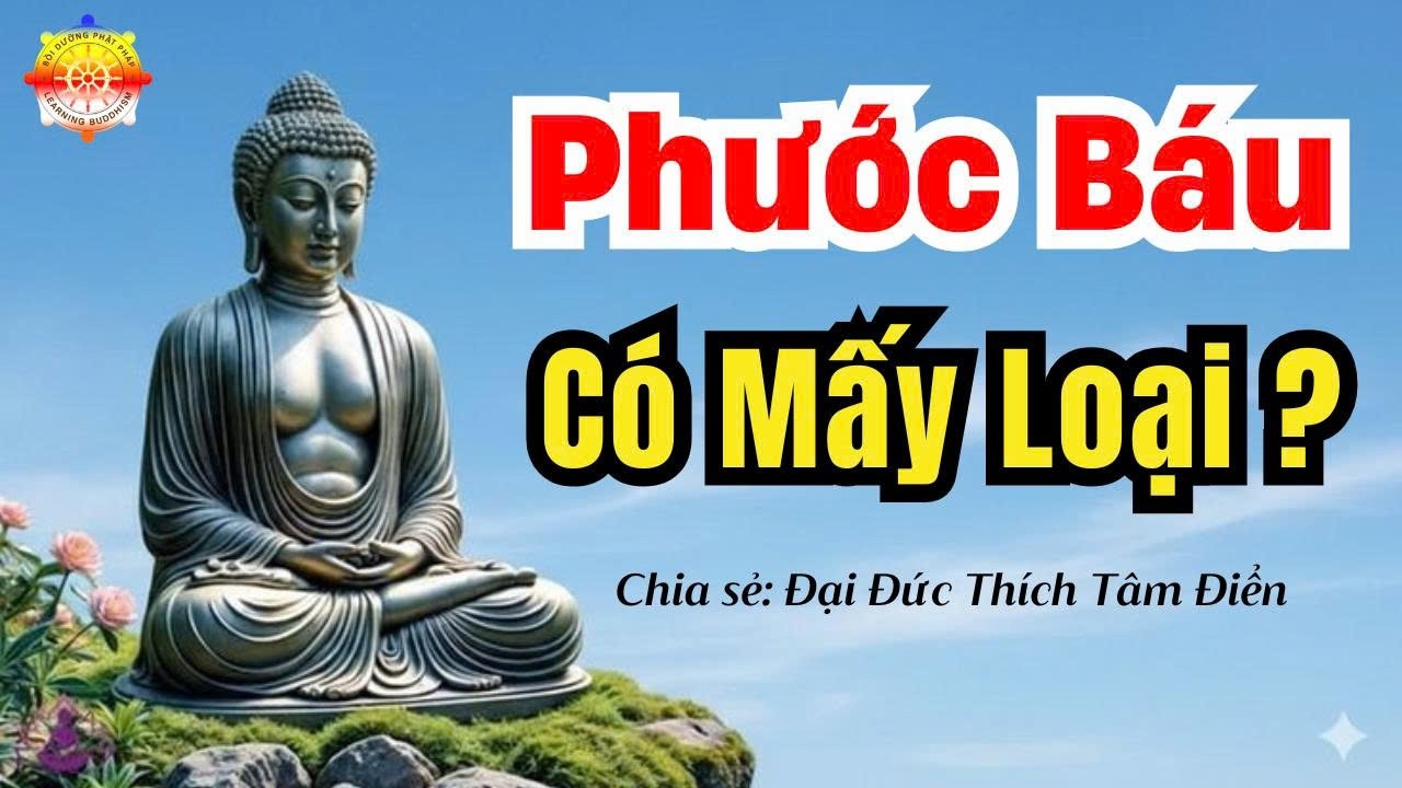Lesson 199: How many kinds of merit are there in Buddhism? | Thích Tâm Điển
