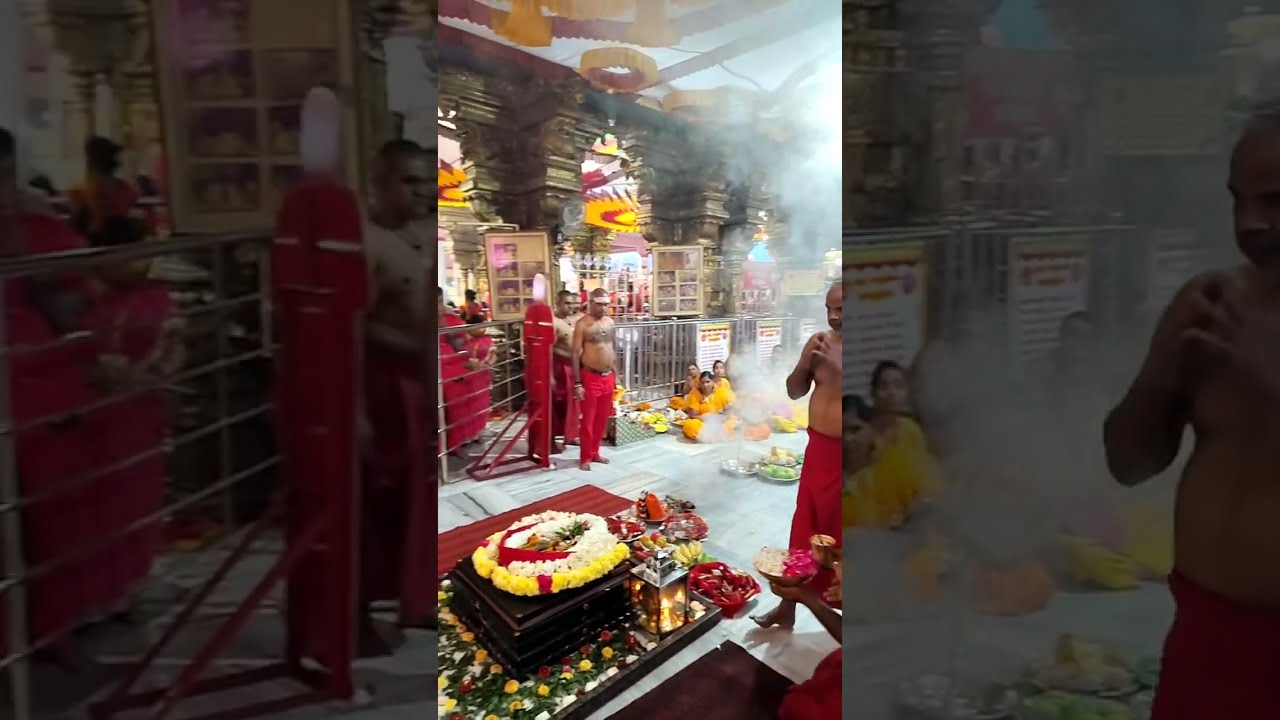 Chinnavar Amma  is live