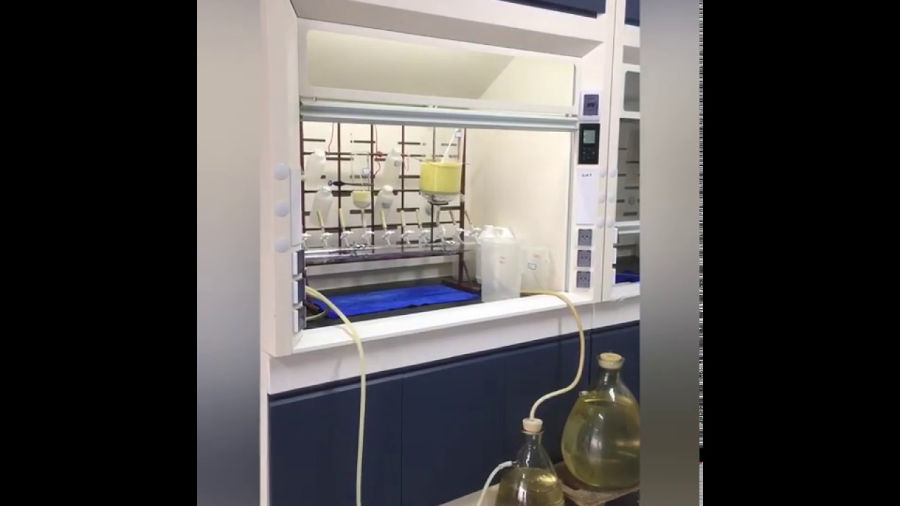 GT PEPTIDE, a professinal peptide synthesis provider.