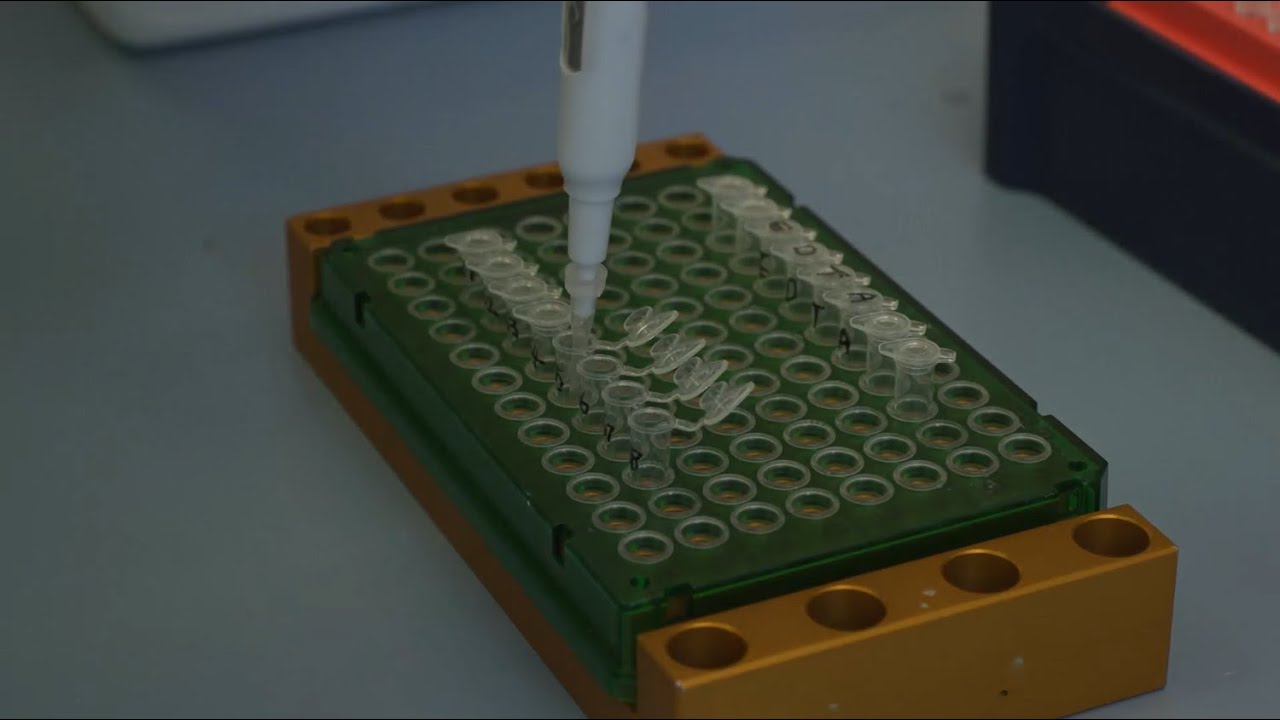 NGS library preparation protocol for solid tumour samples  - DNA fragmentation