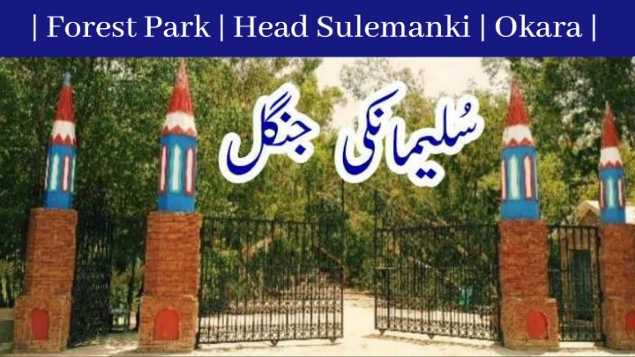 Forest Park Head Sulemanki | Forest Devision Okara | Pakistan India Border Area | Village Points