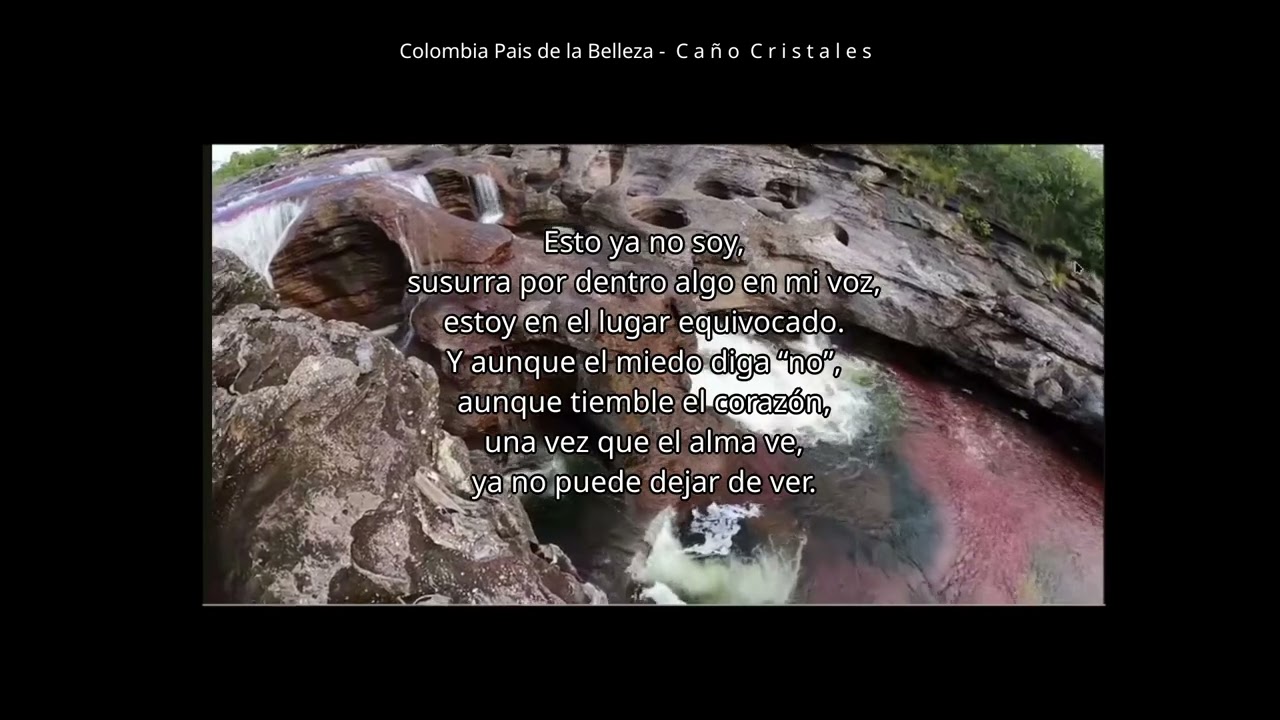 CANCIÓN -POEMA   “ Esto ya no soy ”