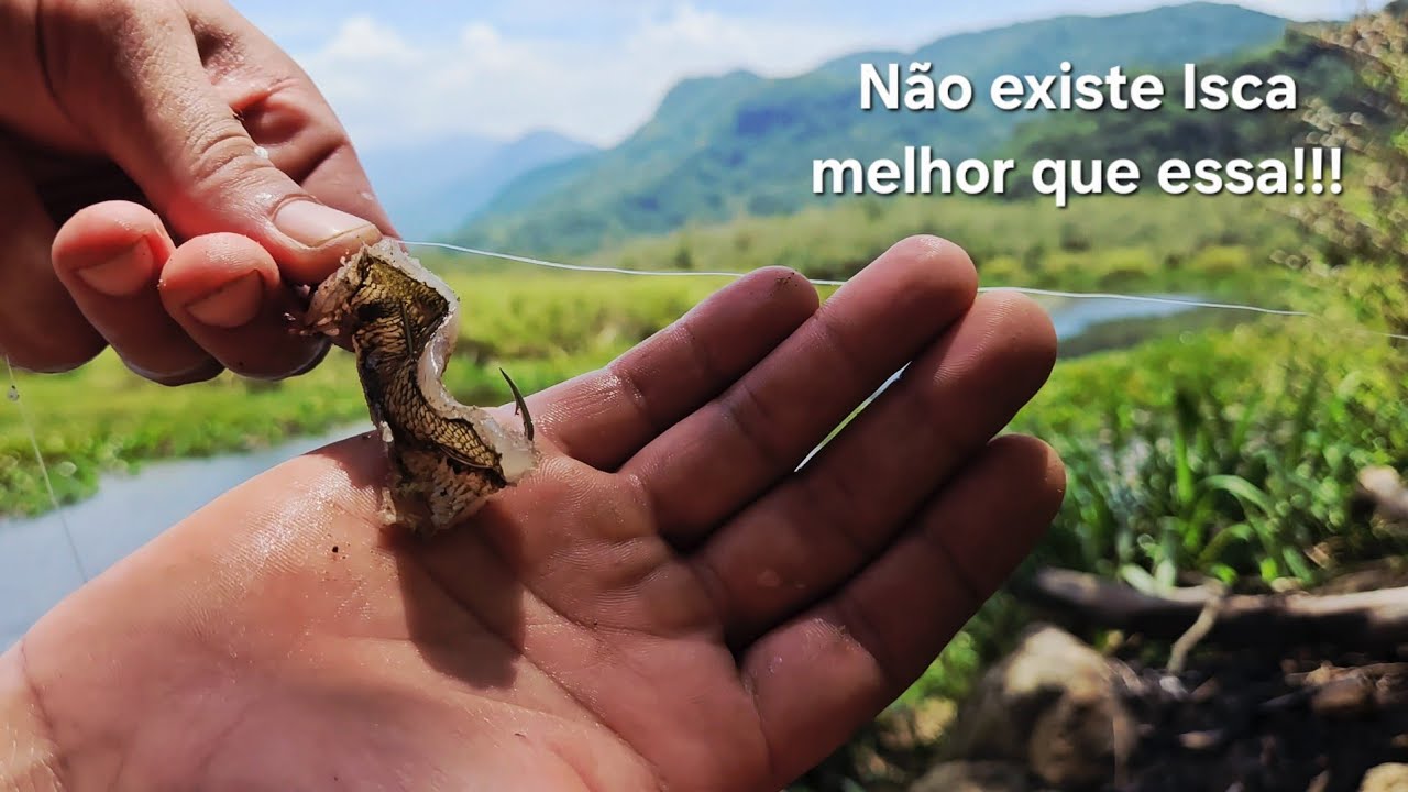 A PESCA DE PRAIA NÃO DEU BOM ! ENTÃO FUI PESCAR NO RIO AGUAPEÚ