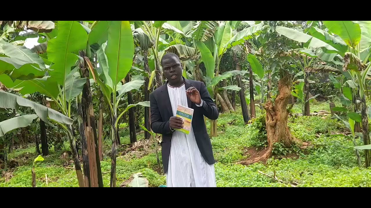 BIBINO EBIKULU EBIKWATA KU MBUZI EY'OMUGERENGEJJO, ETTIBWA SSAALONGO KU MUKOLO GW'OKUMALA BALONGO. 