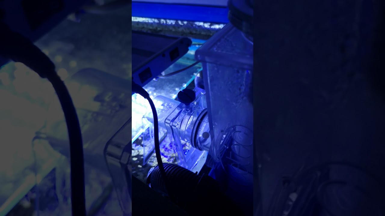 Nuovo schiumatoio.. deltec mce300