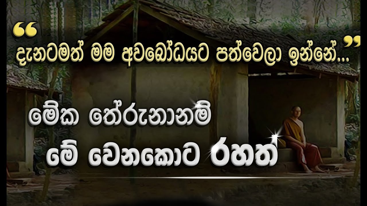 මාර්ගය දන්න කෙනා මාර්ගය වඩන්නේ නෑ... (ධර්ම සාකච්ඡාව)  _Niwan Dakimu