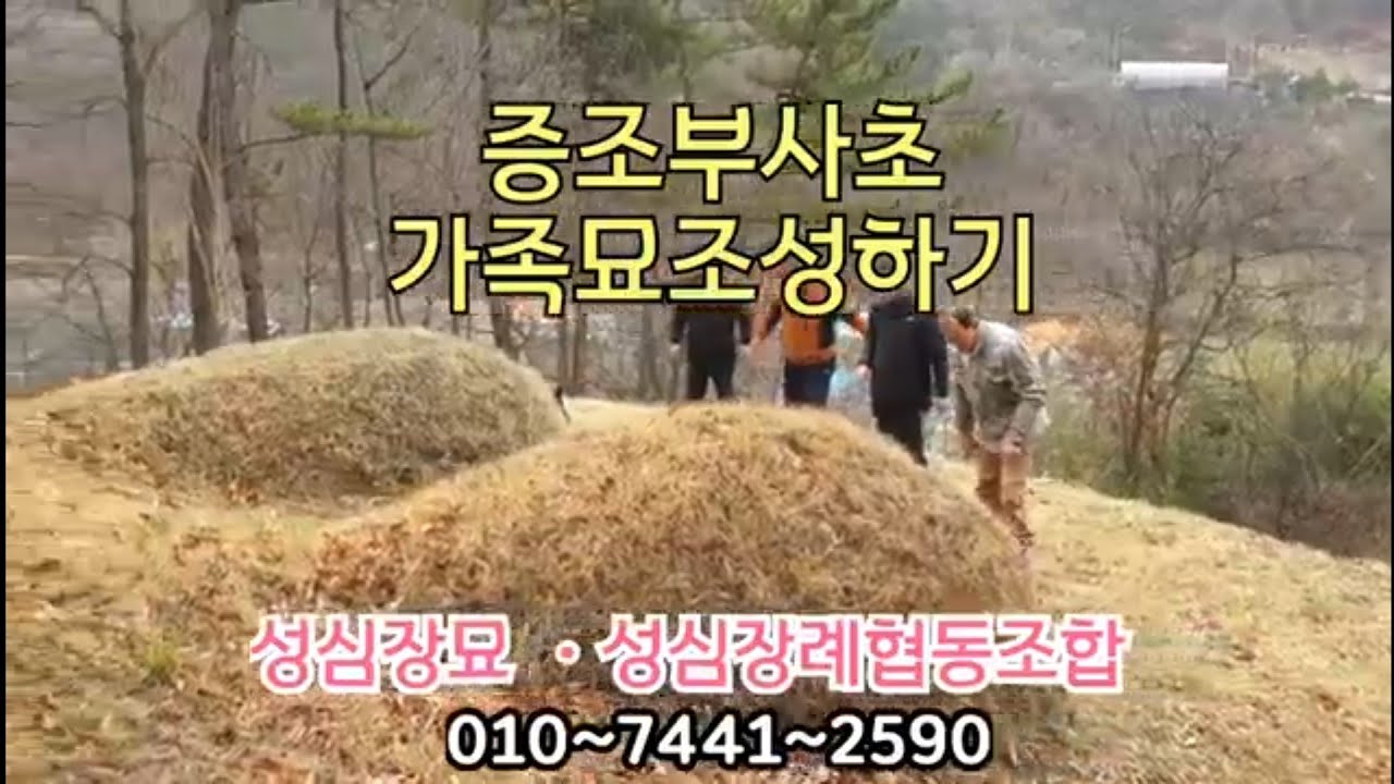 증조산소사초.가족묘조성하기ㅡ묘지이장.묘지개장.화장.비석세우기 묘지관리 잔디조성