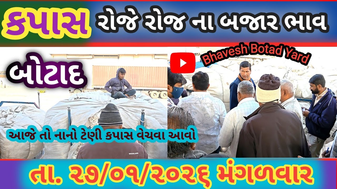 આજે બોટાદ યાર્ડ માં ખુબજ તેજી નો માહોલ કપાસ માં27/01/2026|| Botad Marketing Yard ||#bhaveshbotadyard