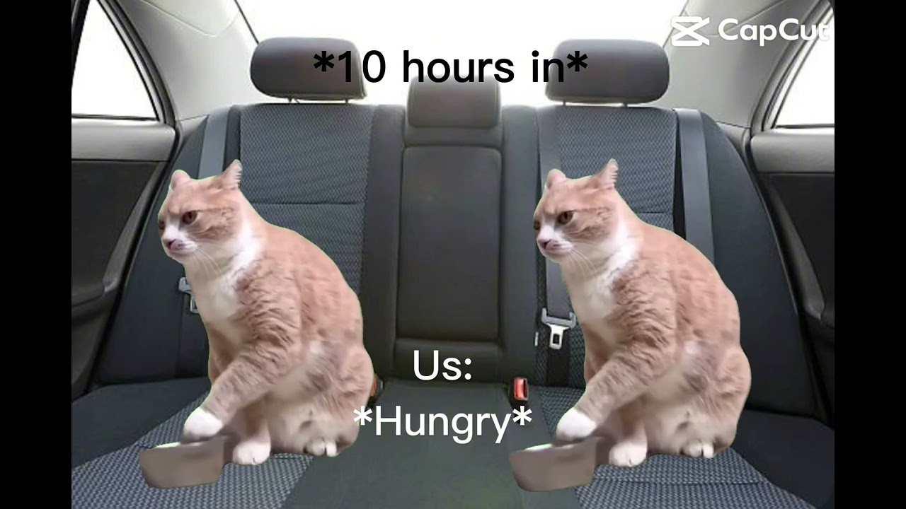POV a road trip to California  be like