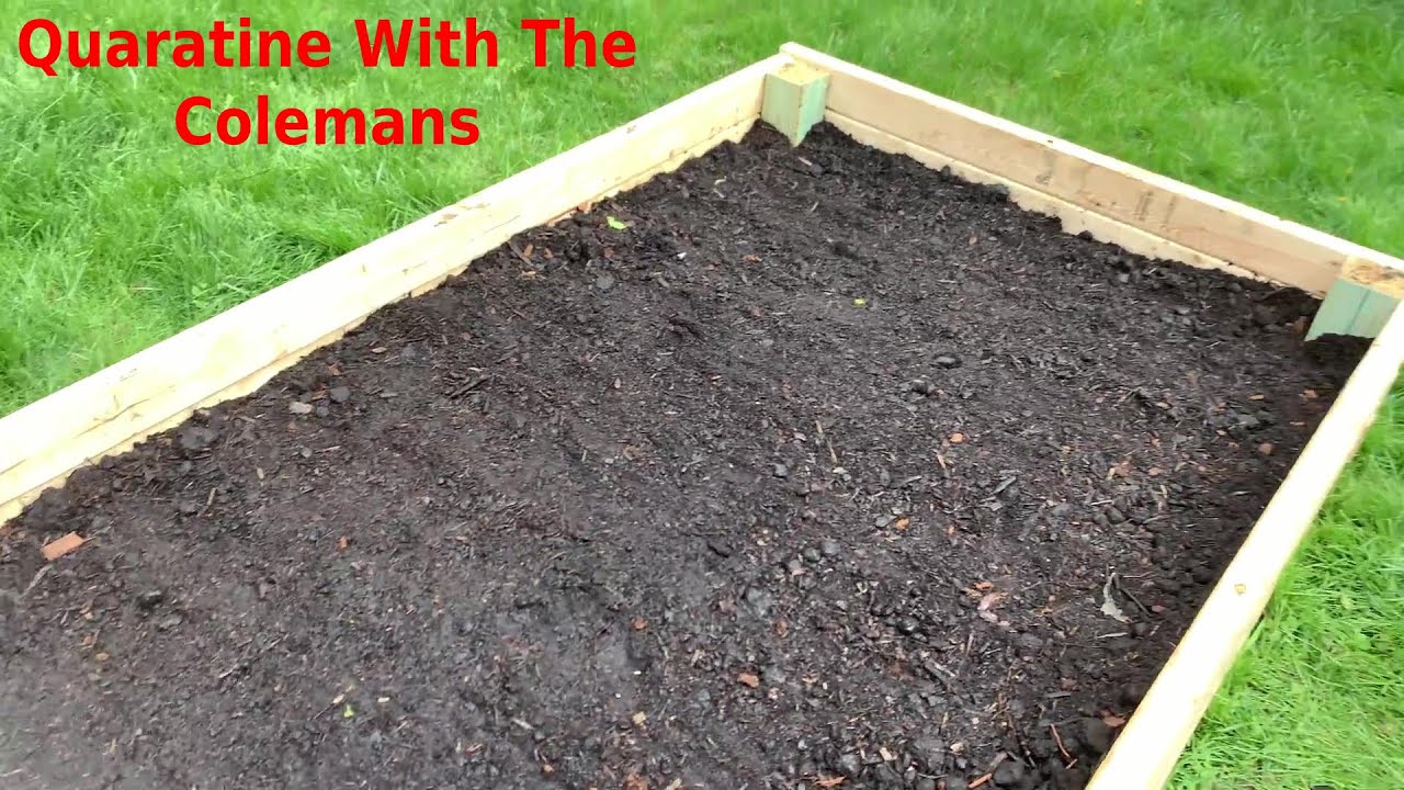 Quarantine Things - Creating Our Own Garden | GlamarellaBoss