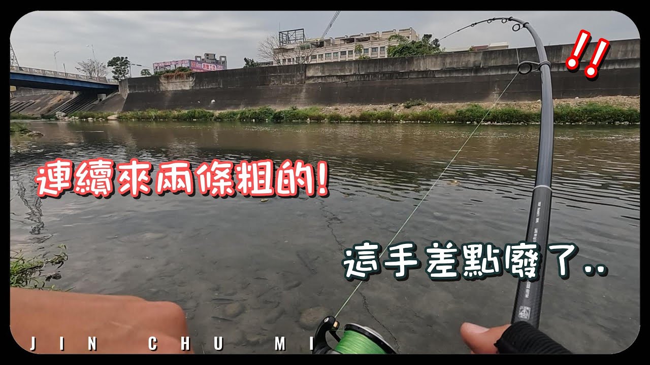 【釣魚津觸咪】路亞鯉魚!? #V特 #路亞 #JinChuMi #JCM #Fishing #Lure