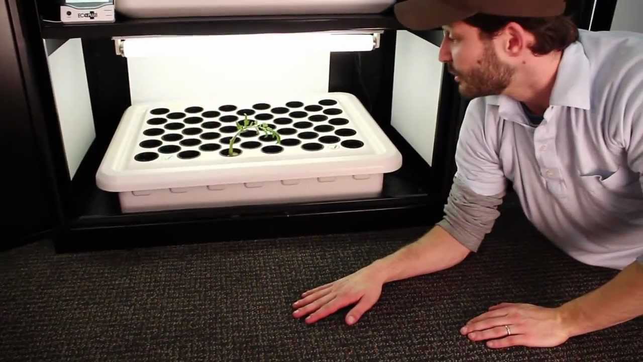 Hydroponic Grow Box | Grow Box by SuperCloset