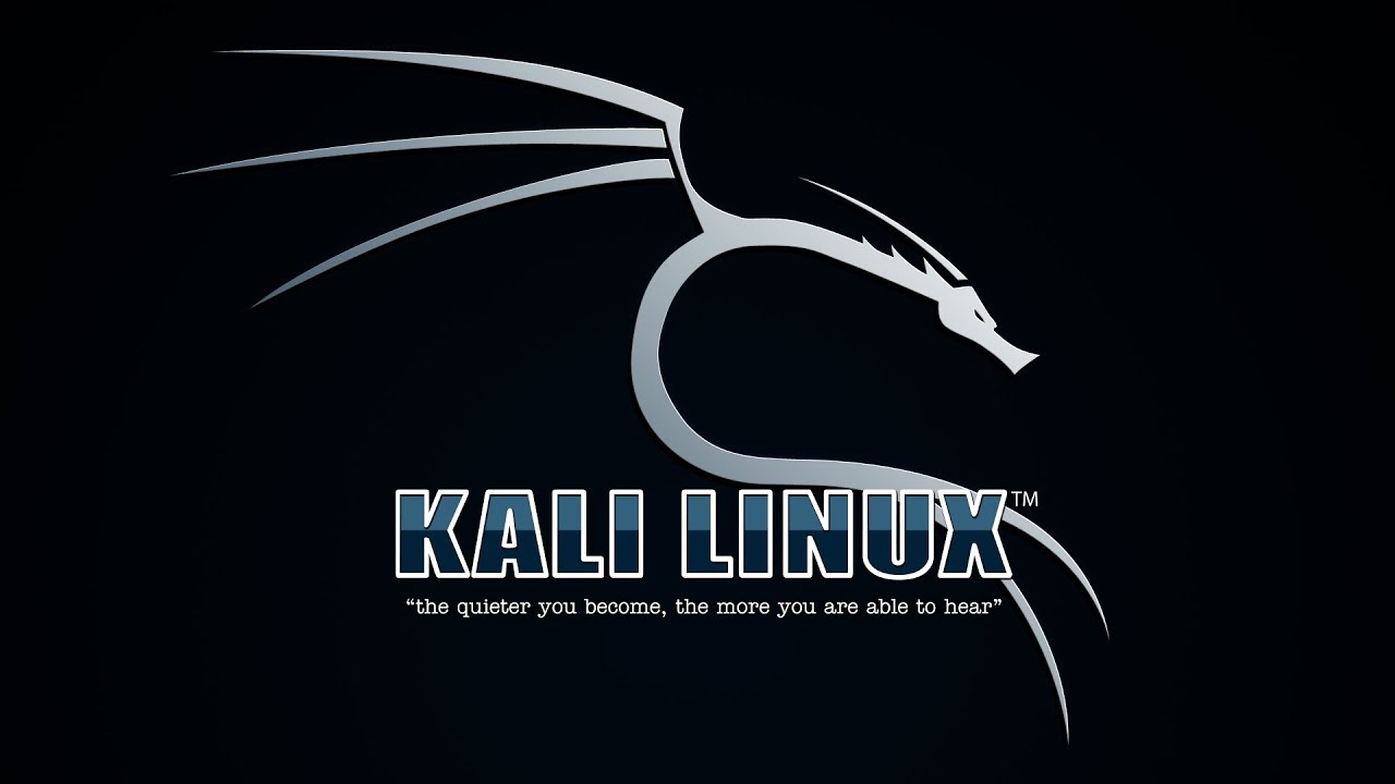 Kali Linux Tutorial  -  How To Connect To A Domain -  DNS Tools#dnsenum.pl