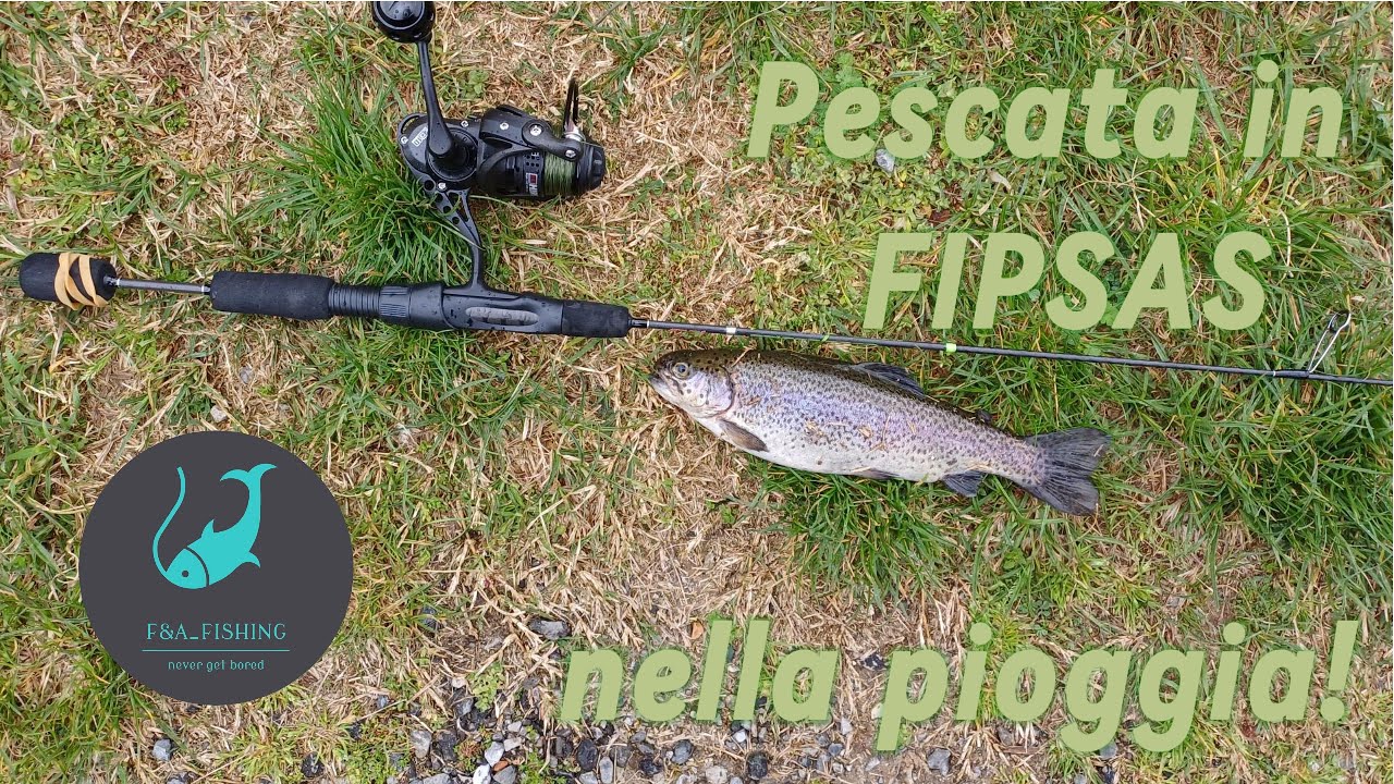 Pescata in Fipsas nella pioggia!