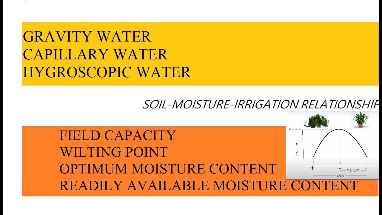 Field Capacity and Wilting Point | Soil Moisture Irrigation Relationship