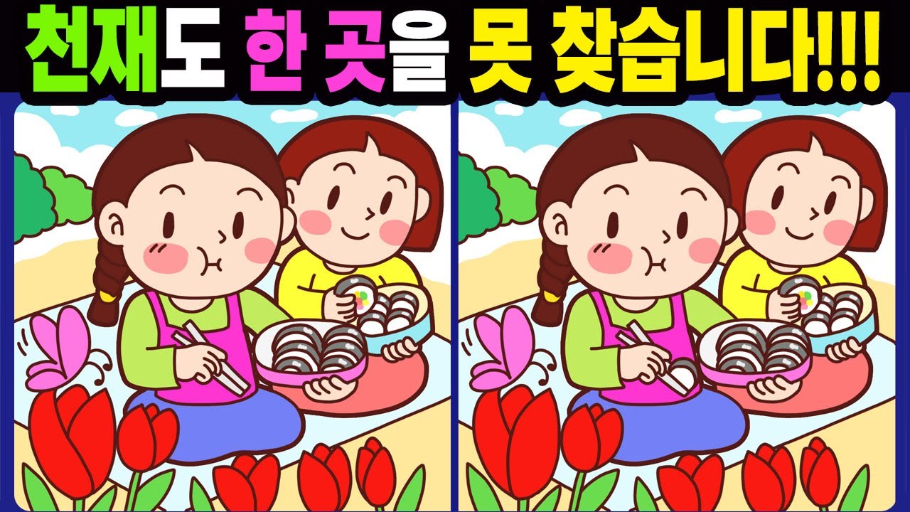【다른그림찾기/치매예방】천재도 한 곳을 못 찾습니다!【틀린그림찾기/두뇌운동/숨은그림찾기/Find the Difference/치매예방퀴즈】996