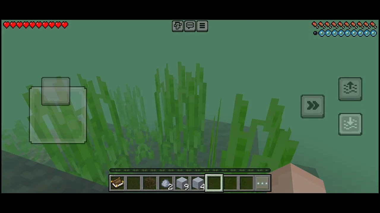 Minecraft día 1