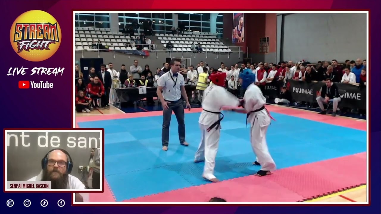 VIII COPA NINTAI KYOKUSHIN KARATE ALL FINALS STREAMING by STREAM FIGHT