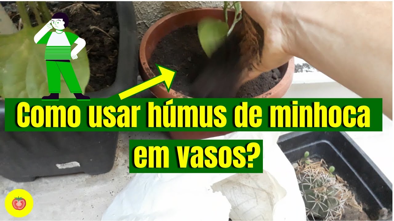 Como usar húmus de minhoca em vasos -  Veja nesse VÍDEO!