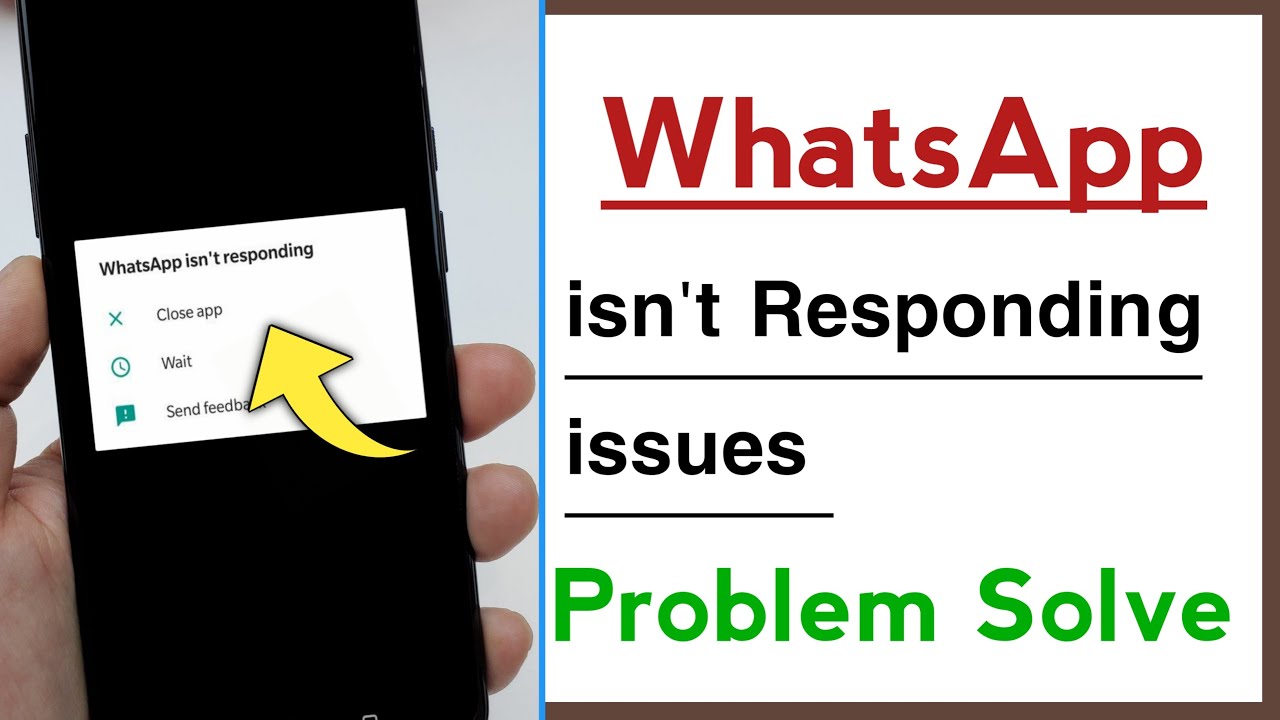 WhatsApp isn't Responding Problem Solve