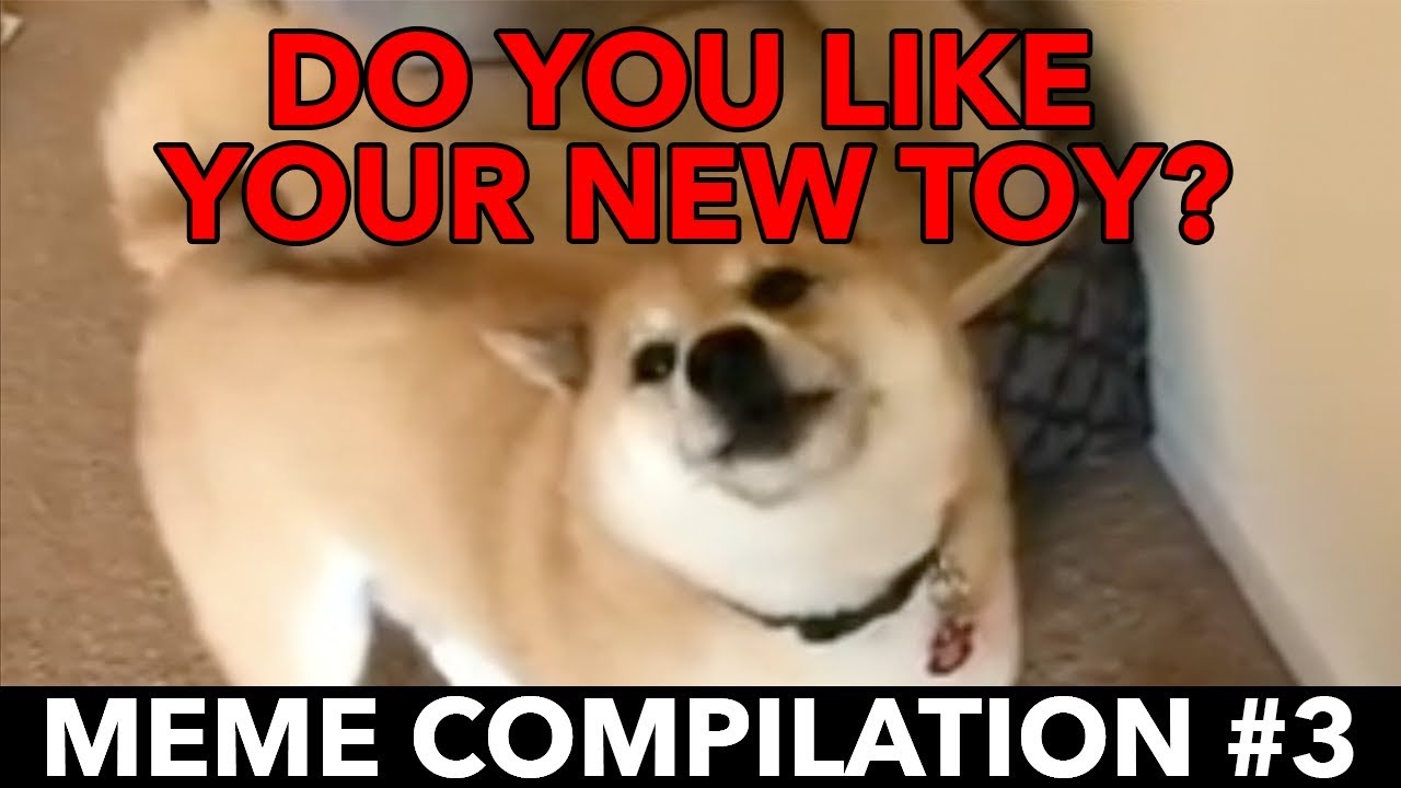 Do you like your new toy? - Meme Compilation #3