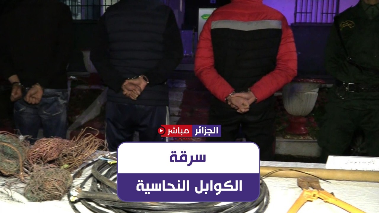 عنابة: الدرك الوطني يفكك شبكة إجرامية مختصة في سرقة الكوابل والأنابيب النحاسية