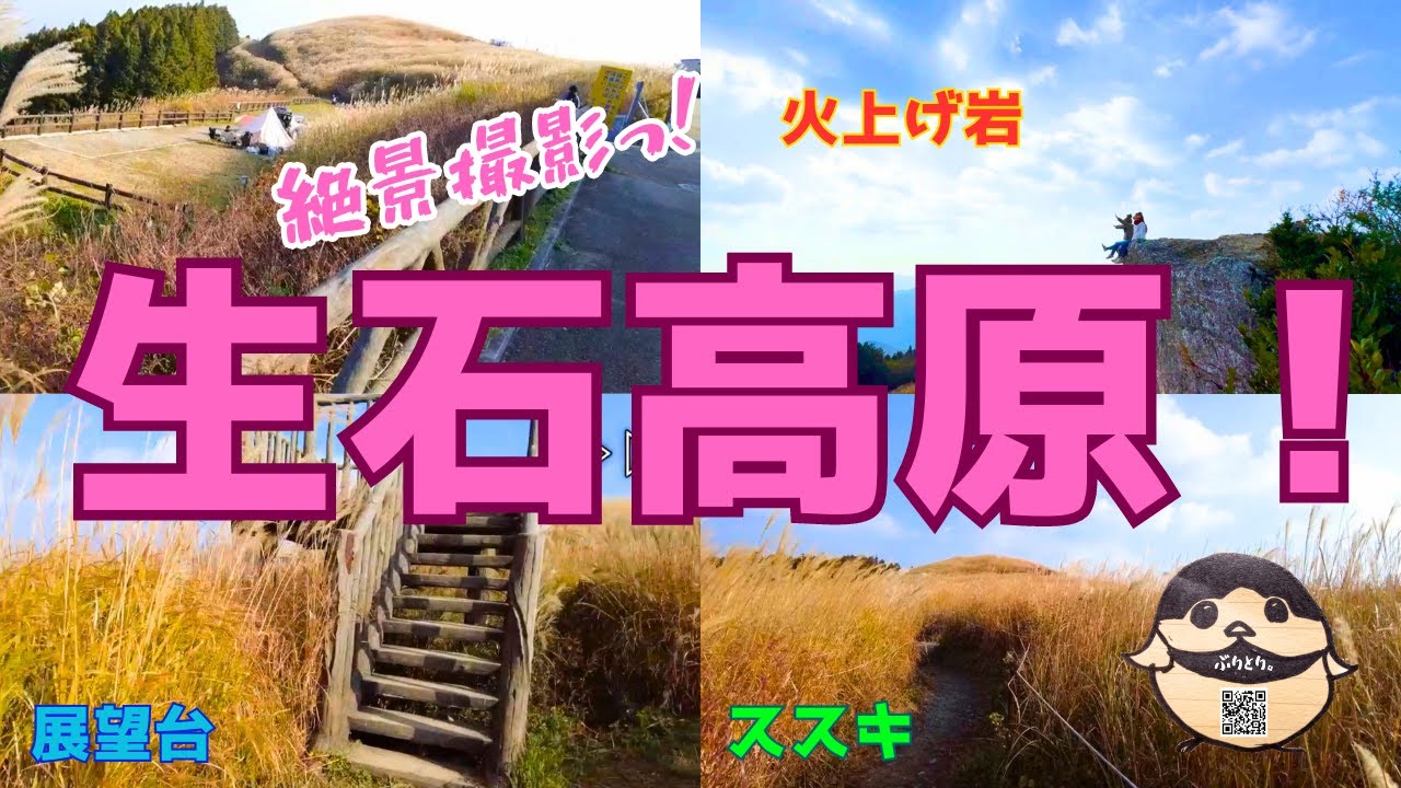 生石高原でススキの時期に絶景撮影！駐車場から展望台から火上げ岩！ #wakayama #ぶりとり旅