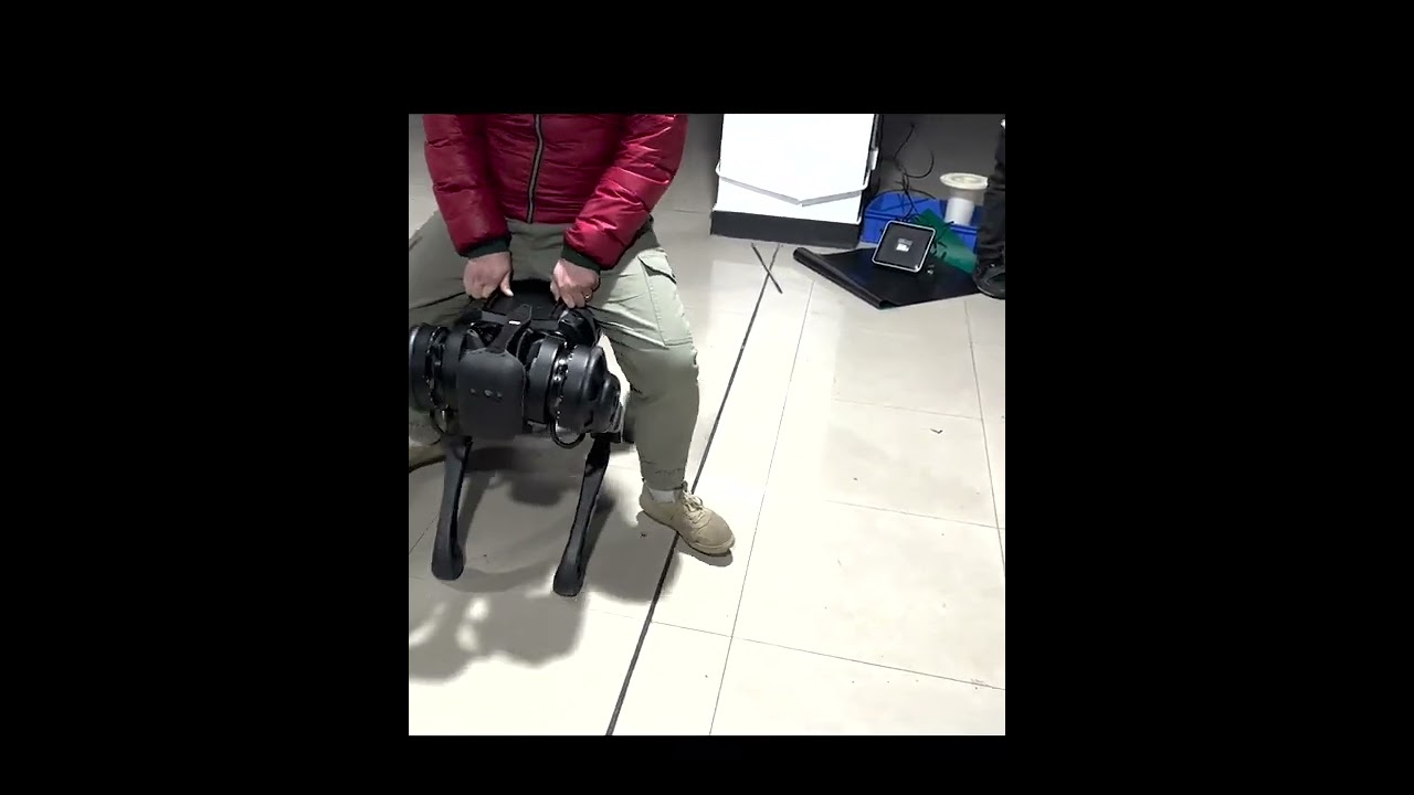 Payload testing on robot dog--B1--Unitree Robotics