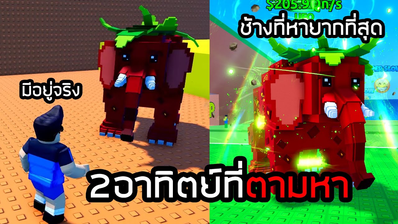 ช้างOGมีอยู่จริง ผมตามหามันมาเกือบ2อาทิตย์ Escape Tsunami For Brainrots