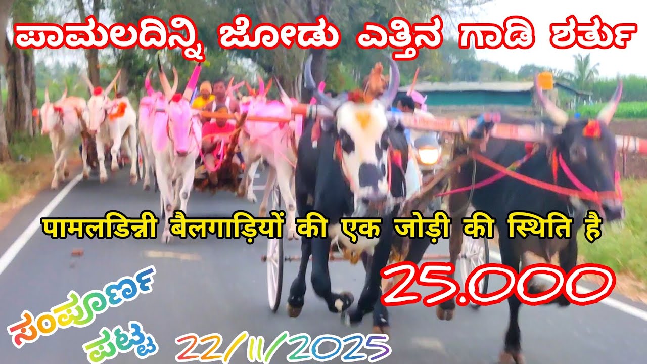 ಪಾಮಲದಿನ್ನಿ ಜೋಡು ಎತ್ತಿನ ಗಾಡಿ ಶರ್ತು/-पामलडिन्नी बैलगाड़ियों की एक जोड़ी की स्थिति है25.000(22/12/2025)