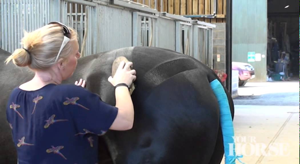 Create quarter marks like Carl and Charlotte | Your Horse