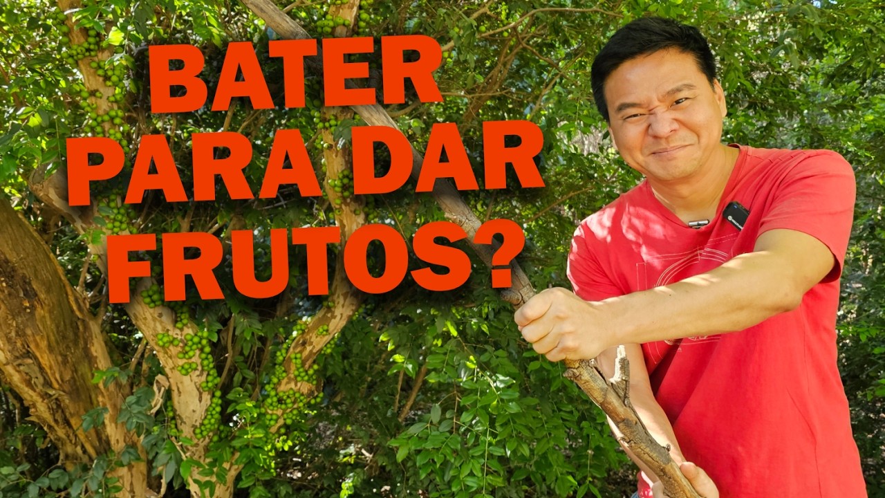 Bater nas frutíferas para frutos?