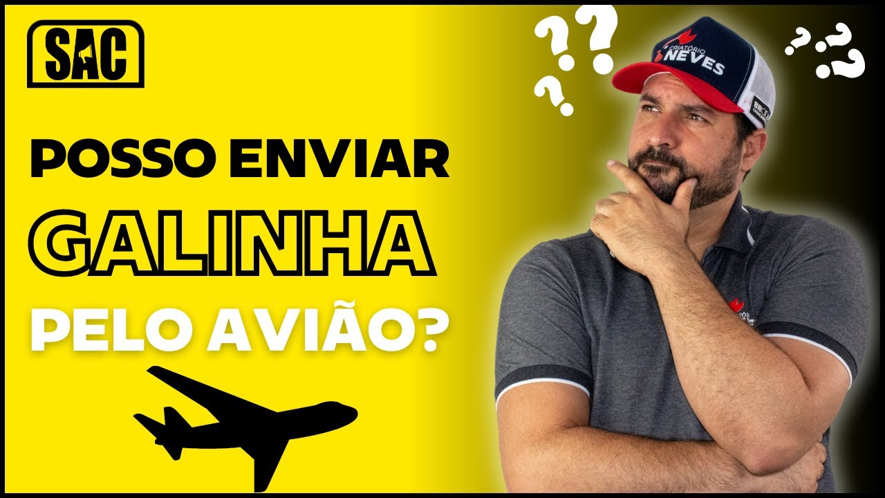 Enviando galinhas pelo avião? Descubra! | E01