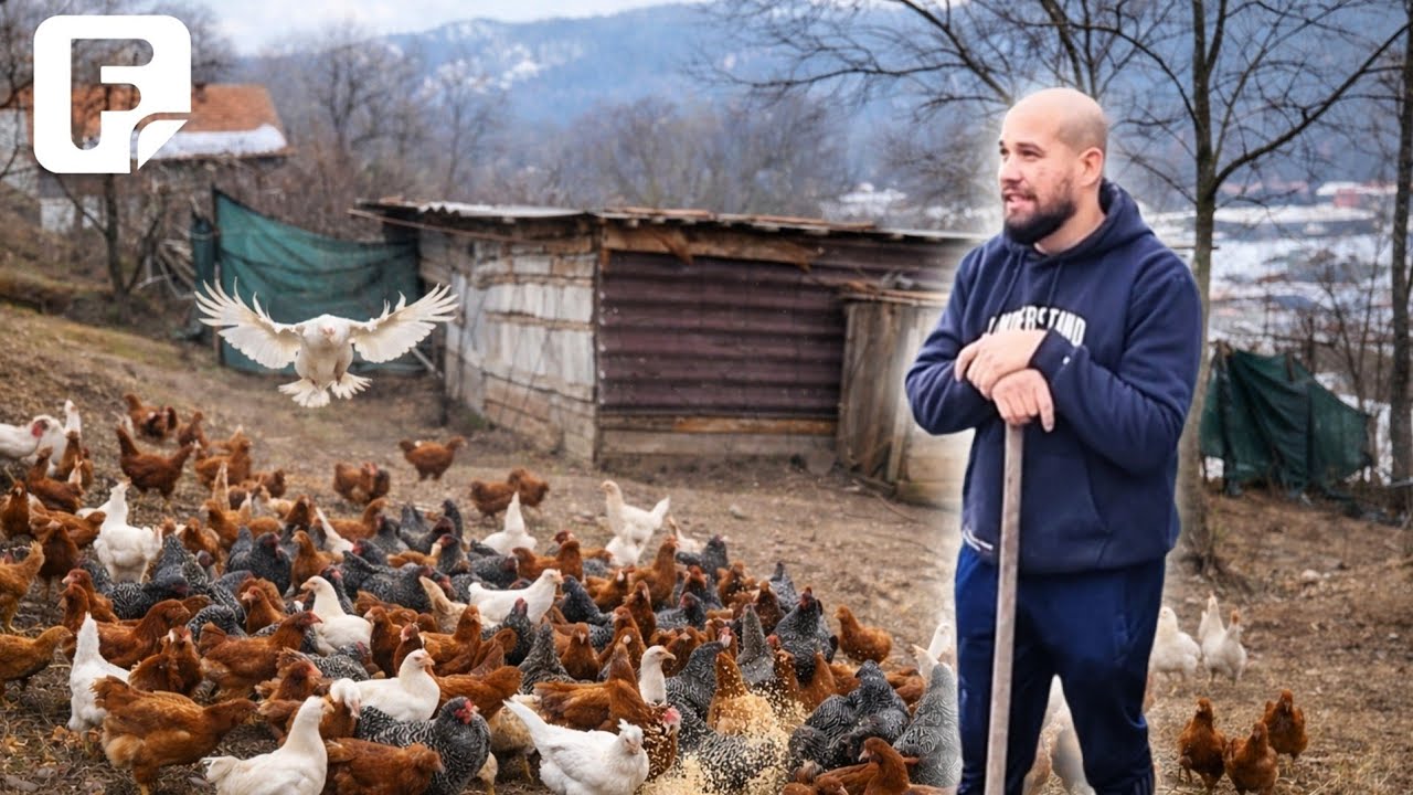 Može li se živjeti od 200 koka nosilja? | Zelena panorama | FTV 