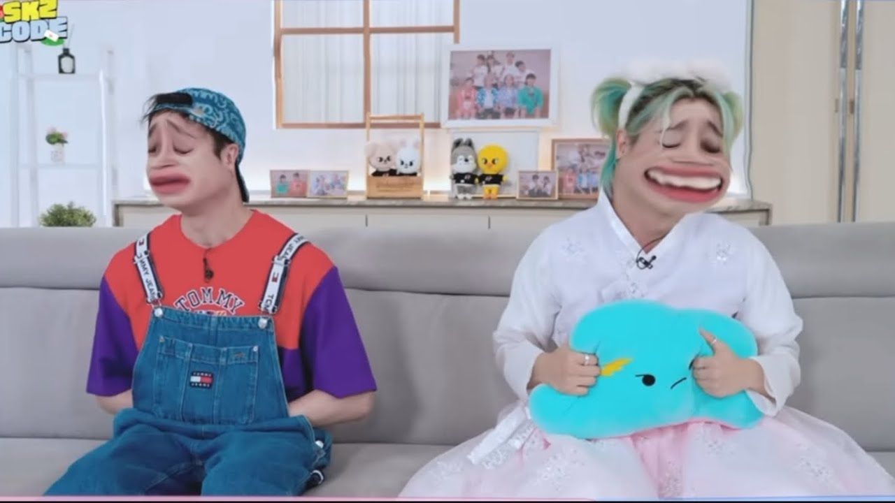 skz family but i did a voice over of it | inspiration credits to @StryyKdzzzzz