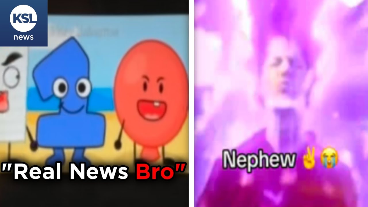 bro faked BFDI on the NEWS... 😭✌
