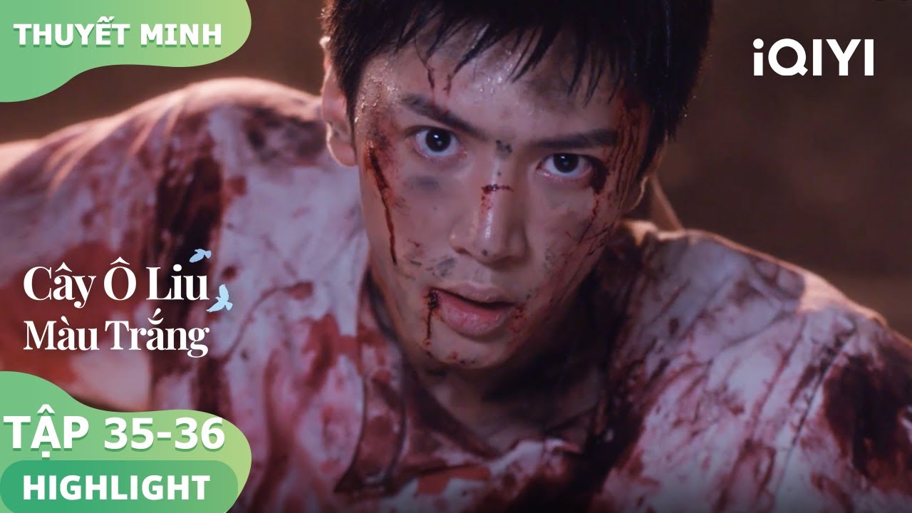 😭Lý Toản chịu sự giày vò, Tống Nhiễm khóc trong tuyệt vọng | Cây Ô Liu Màu Trắng35-36 | iQIYIVietnam