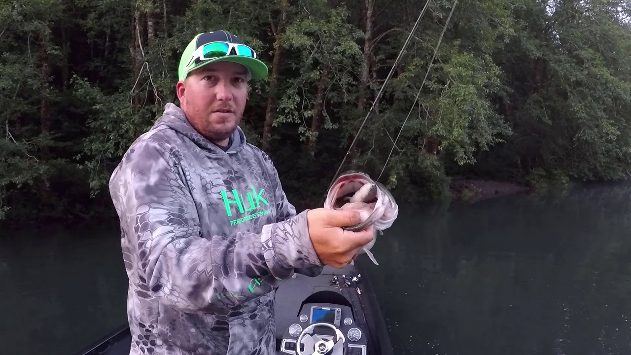 Huddleston Swimbait cast to catch clips 2019 season