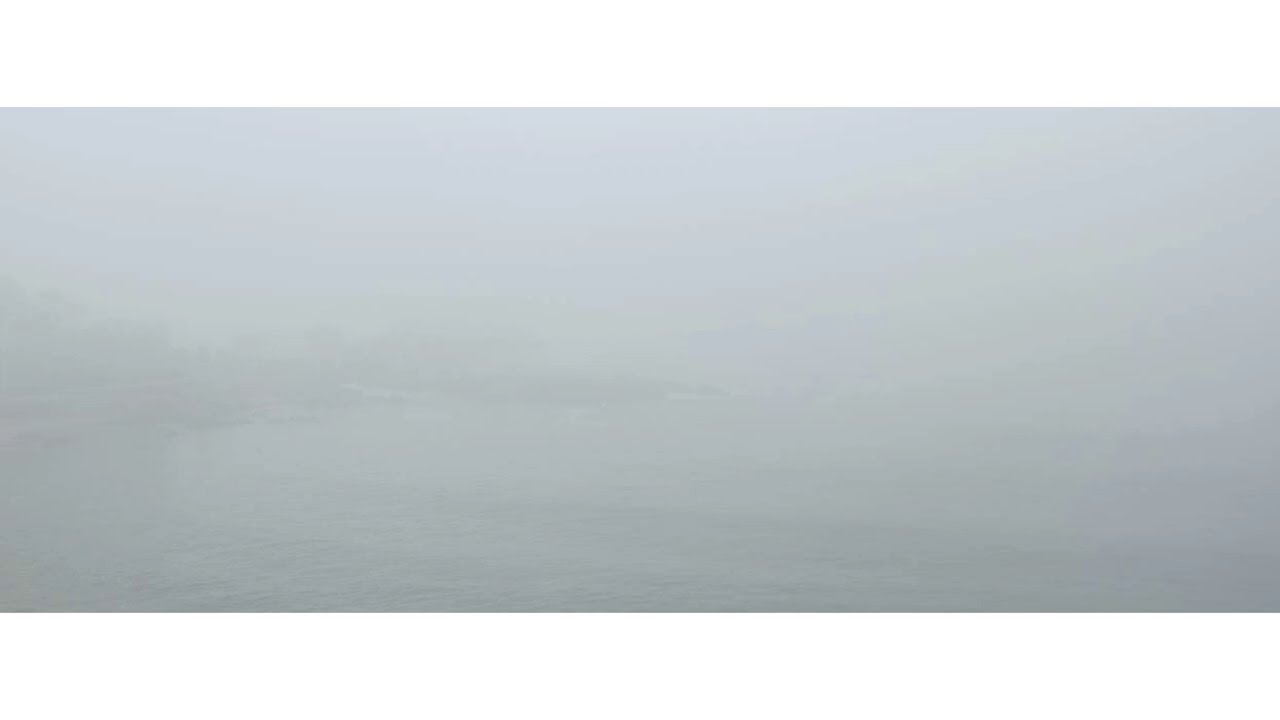 foggy morning