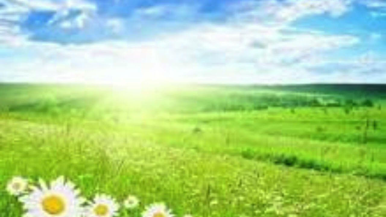 0437 Nguồn Trợ Lực Đời Tôi