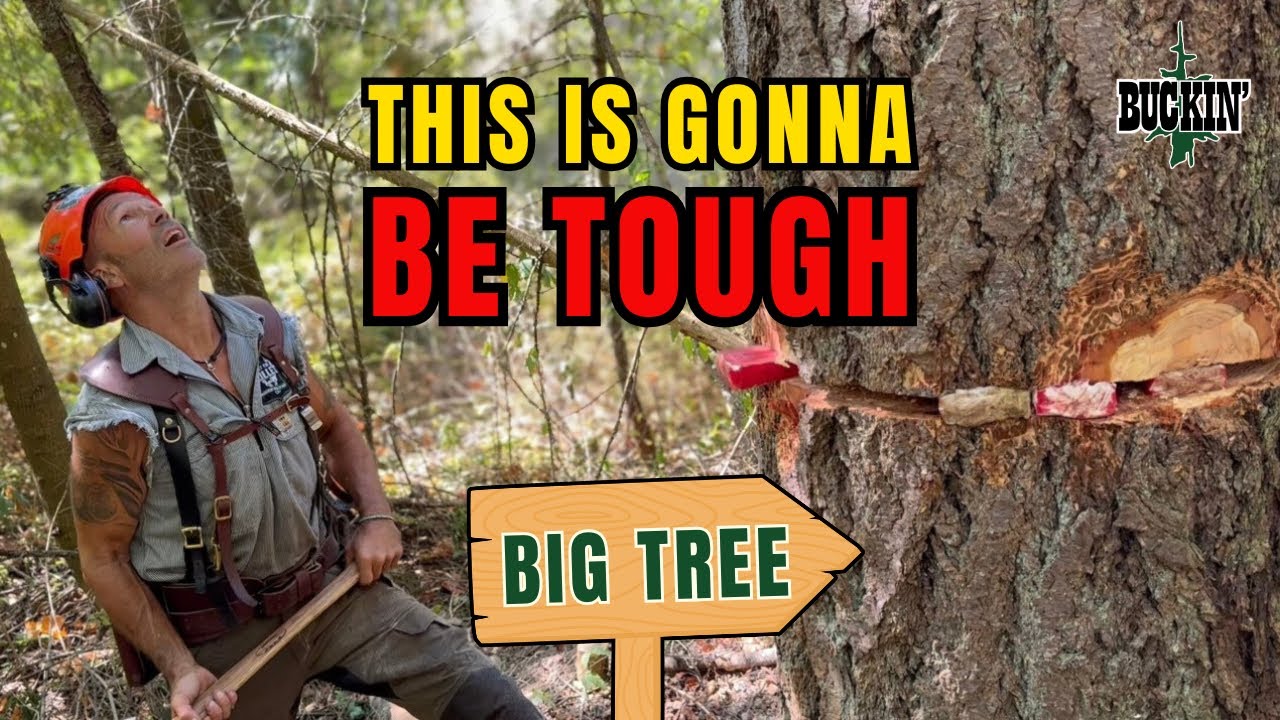 The BIGGEST Bang Of The Year