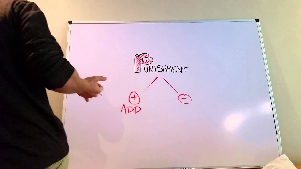 Difference Between Positive and Negative Punishment