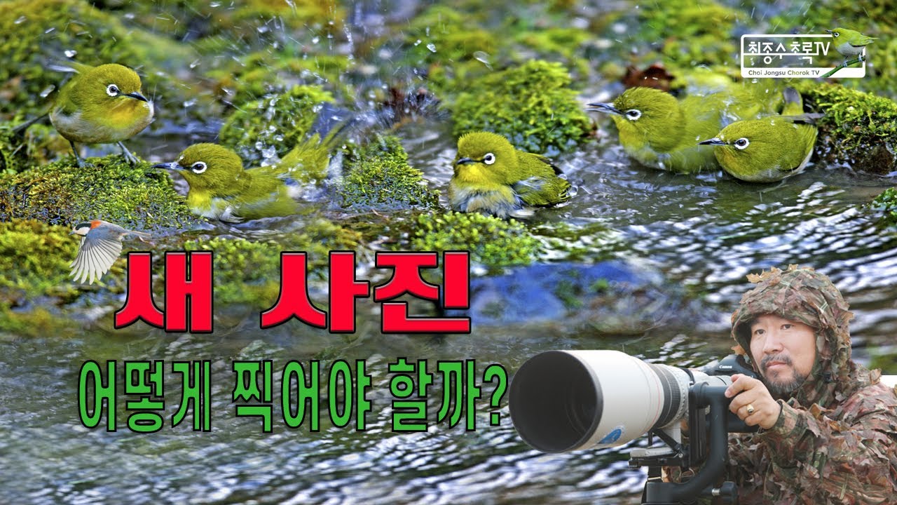 새 사진!! 어떻게 찍어야 할까?